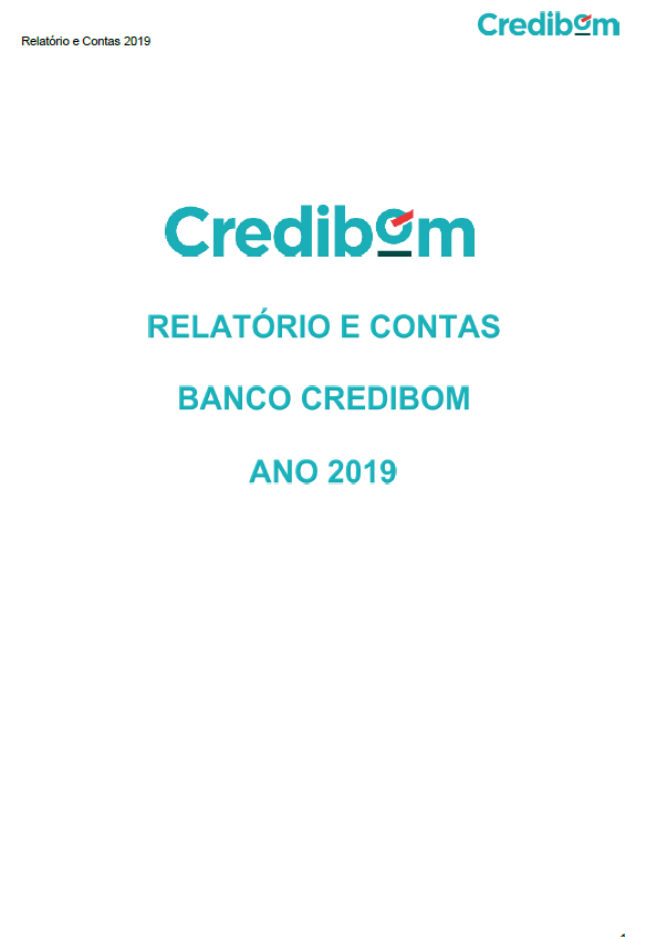 Relatorio e contas 2019 - 2019 (2313)