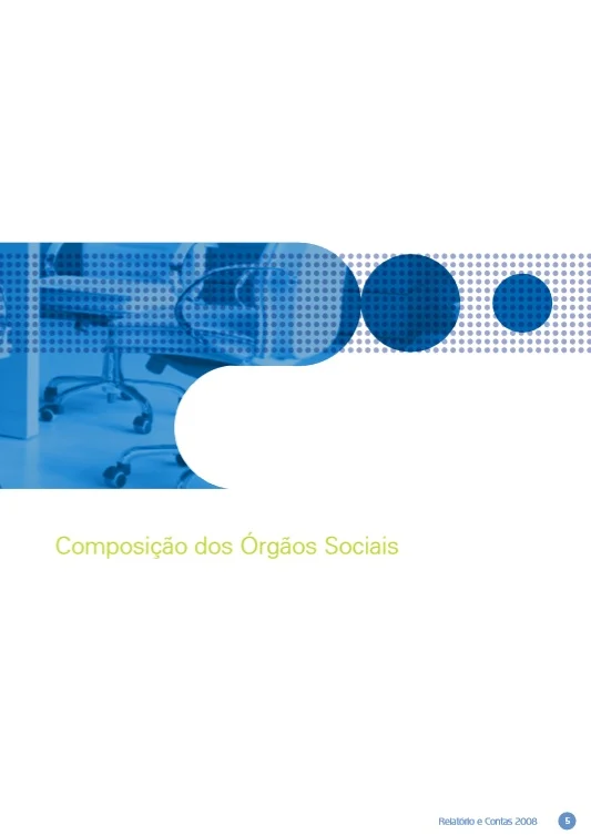 Composicão Dos Orgãos Sociais 2008 - 2008 (1557)